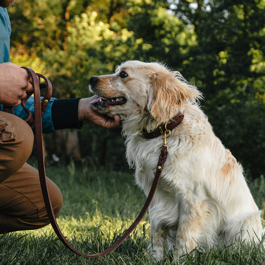Classic Leather Leash