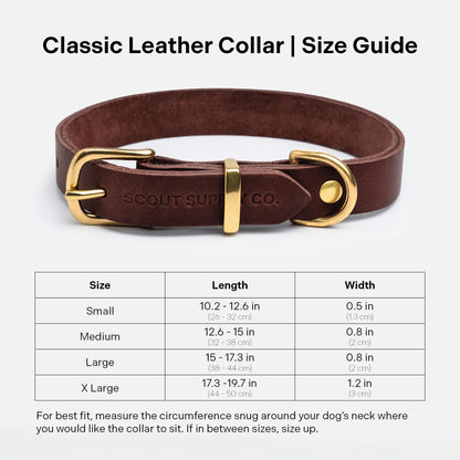 Classic Leather Collar