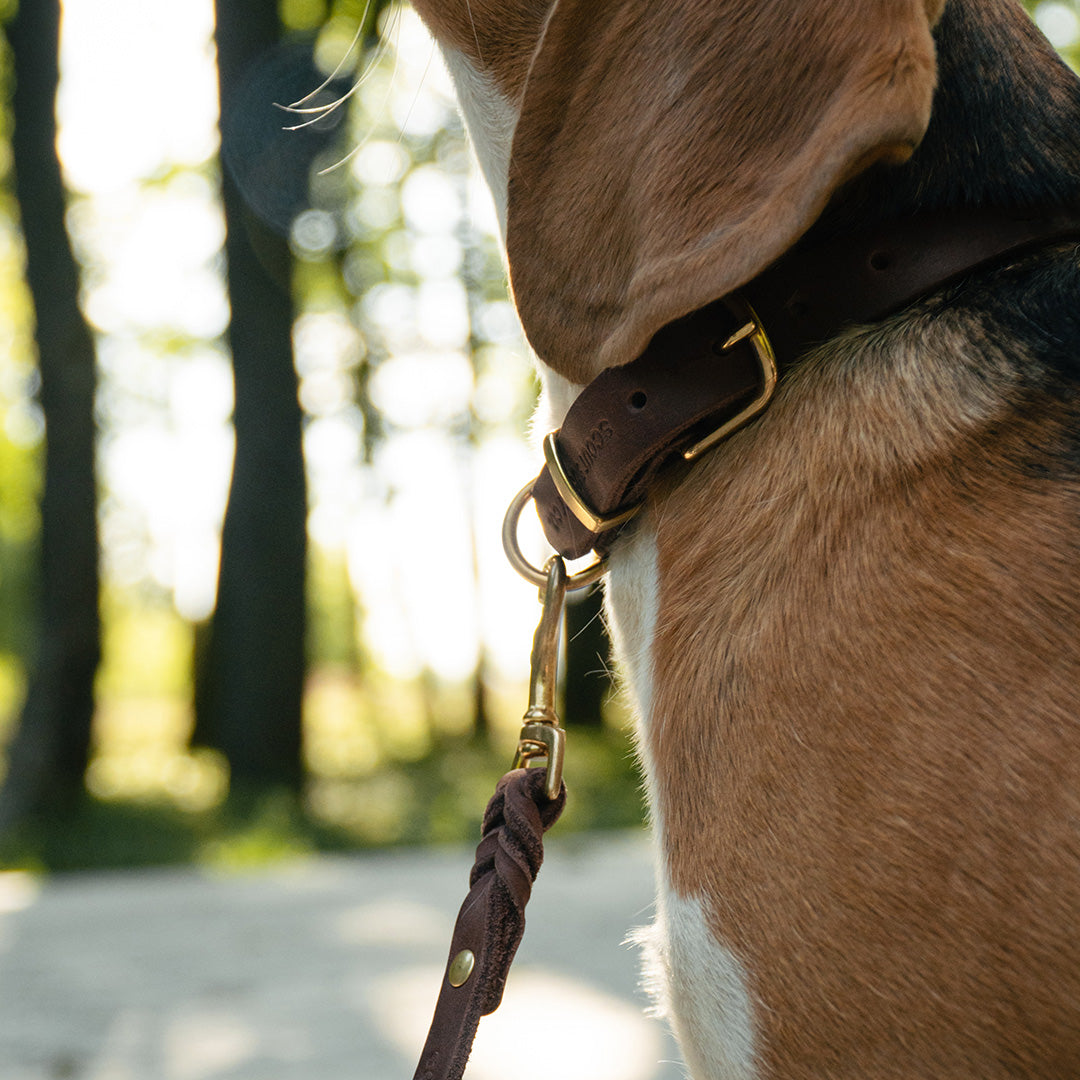 Classic Leather Leash