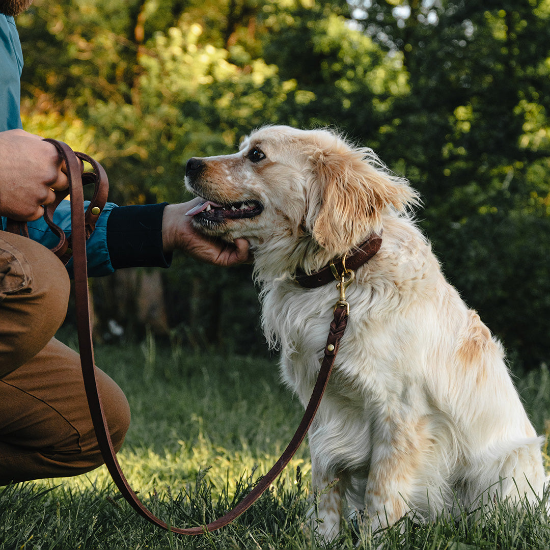 Classic Leather Leash