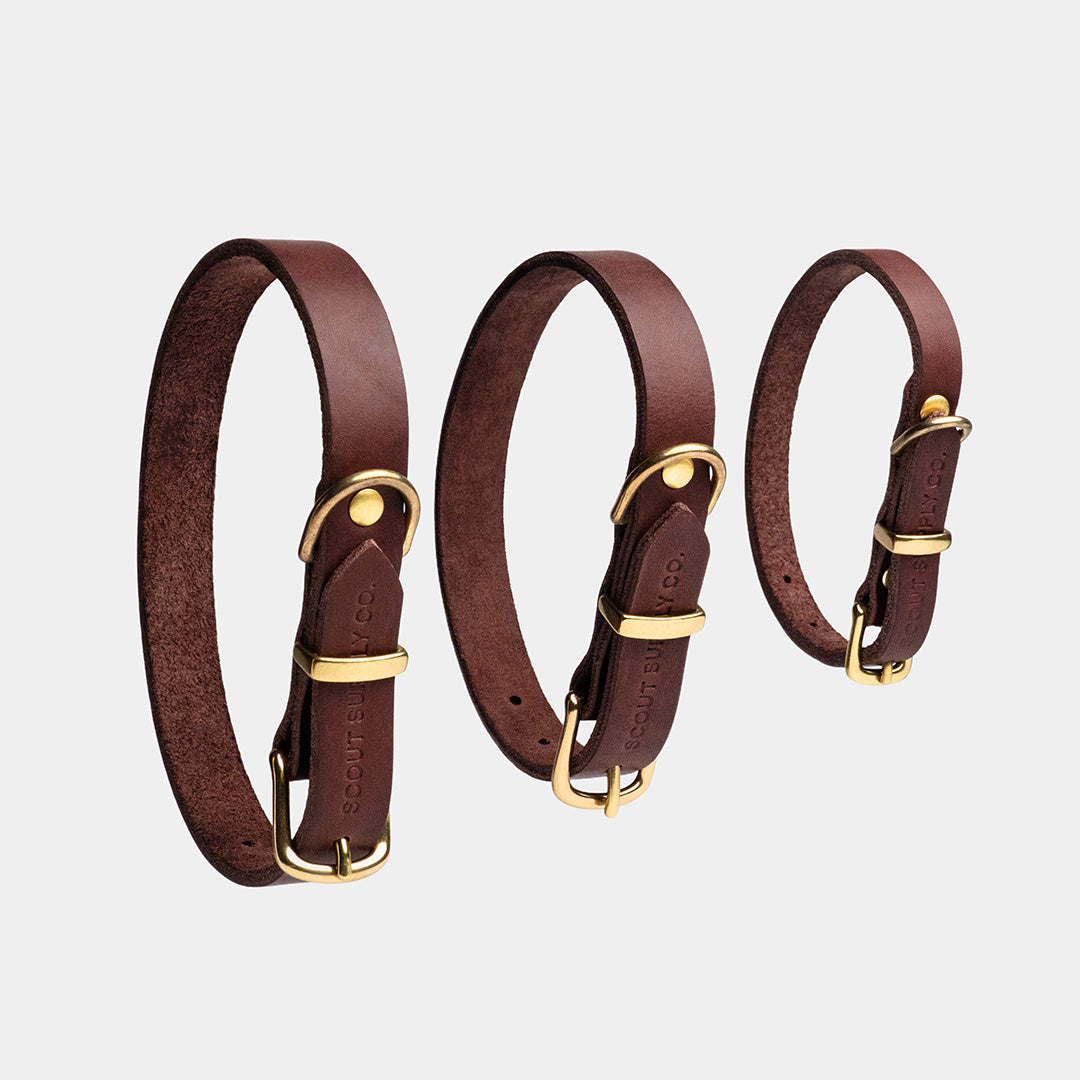 Classic Leather Collar