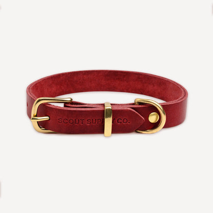 Classic Leather Collar