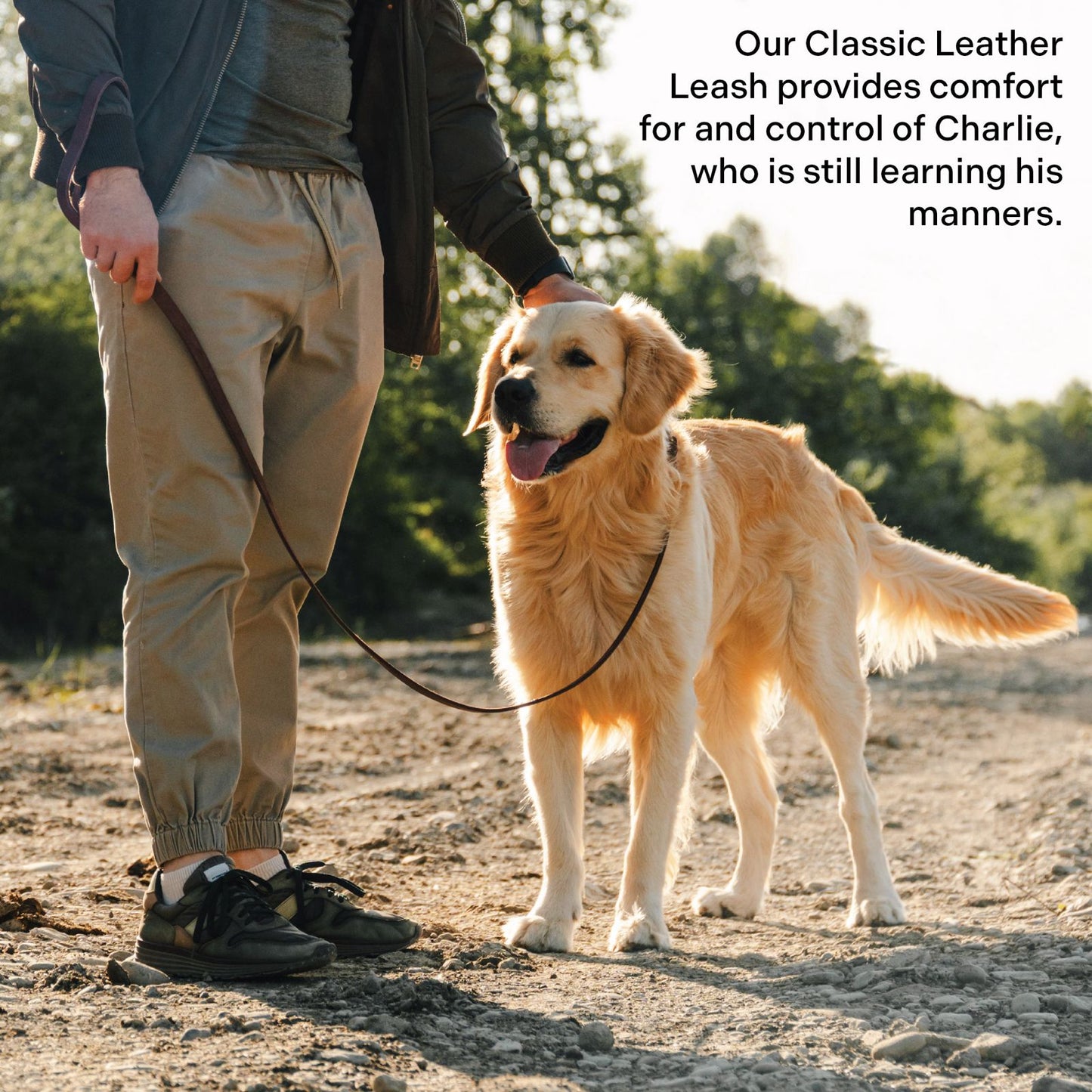 Classic Leather Collar