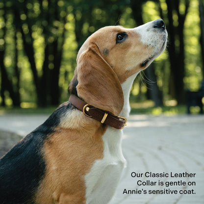 Classic Leather Collar